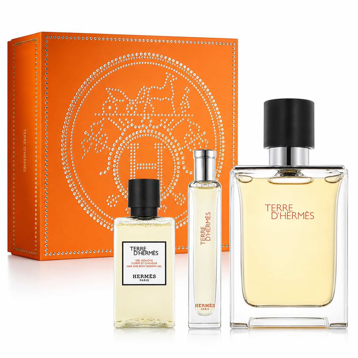 Terre D' + Set Eau de Toilette Spray (100ml) by Hermes