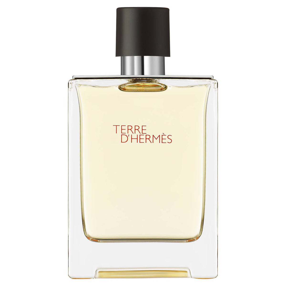 Terre D for Men Eau de Toilette Spray (100ml) by Hermes