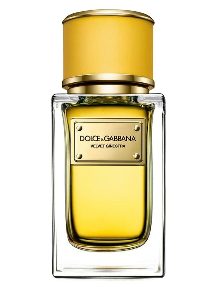 Dolce & Gabbana Velvet Ginestra Eau de Parfum Spray, 50ml
