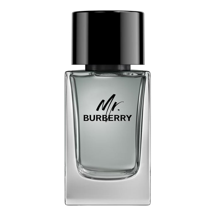 Burberry Mr for Men Eau de Toilette Spray - 100ml