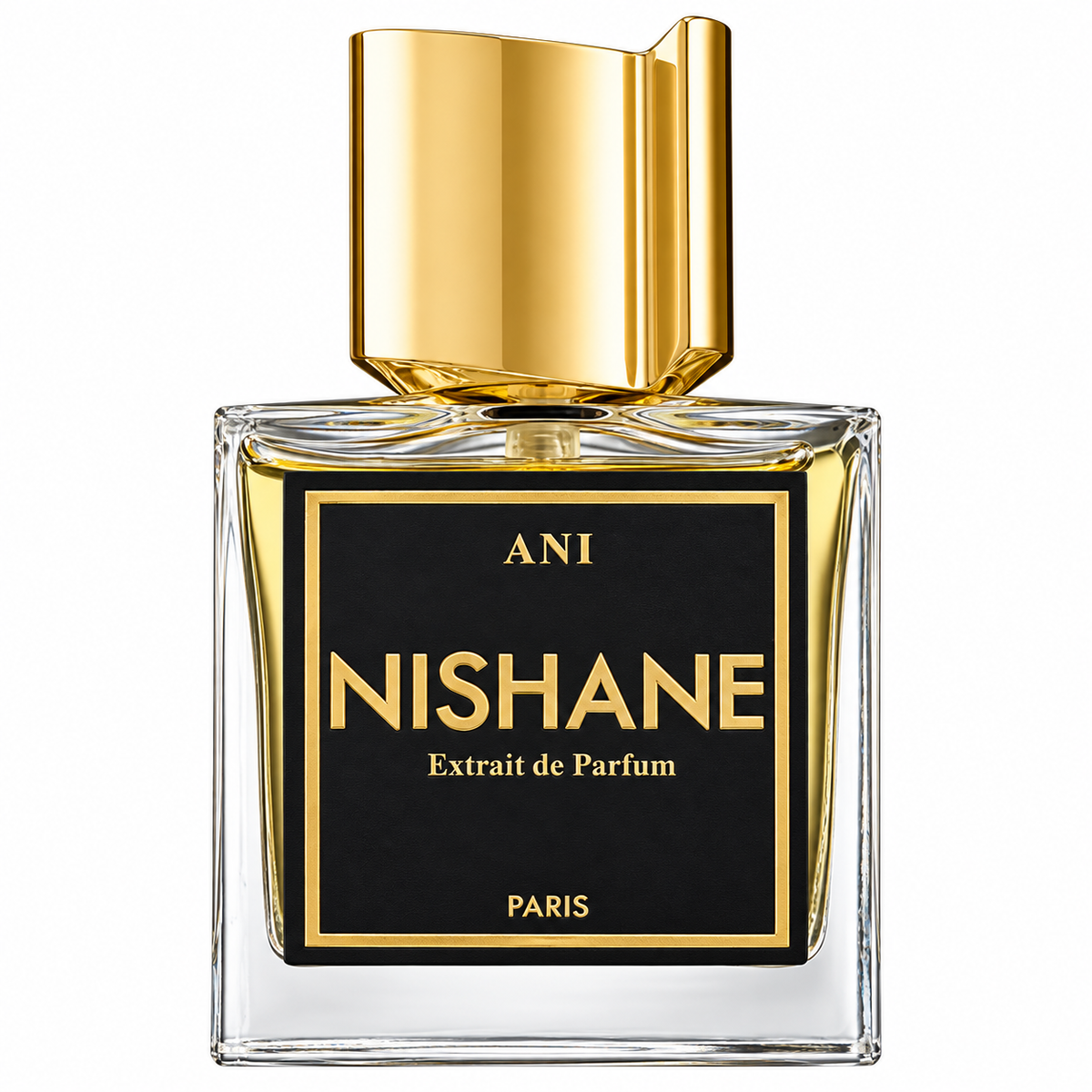 Nishane Ani Extrait de Parfum Spray - 100ml